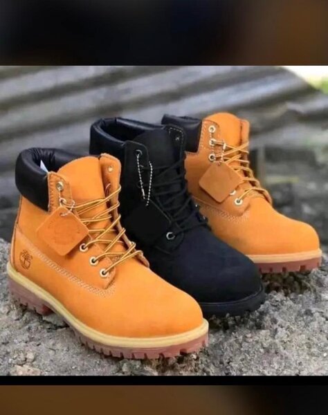 timberland
