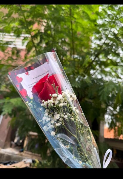 Bouquet de rose rouge emballé