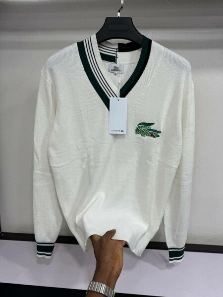 Pull col V homme élégant