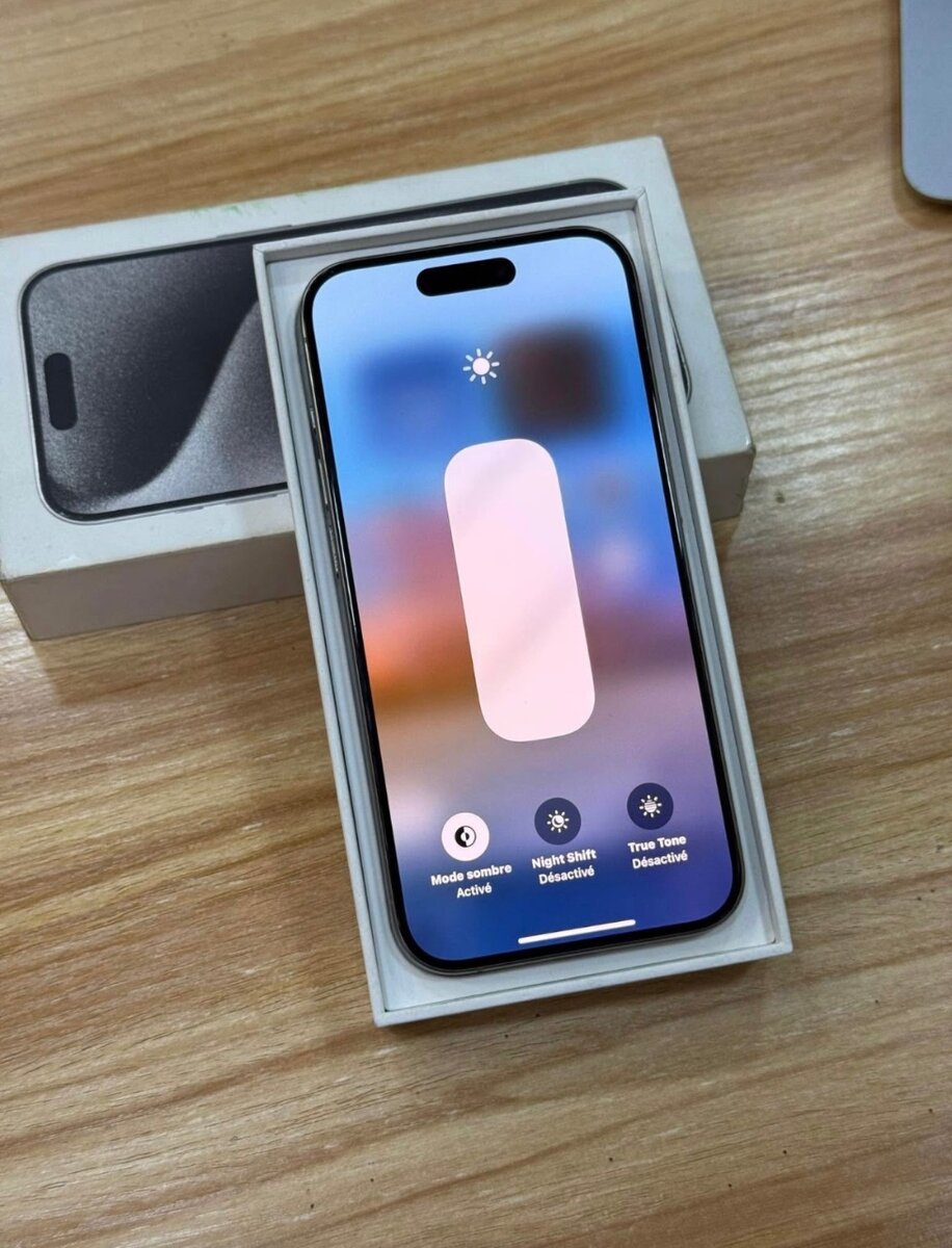 iPhone 14 Pro Max Silver