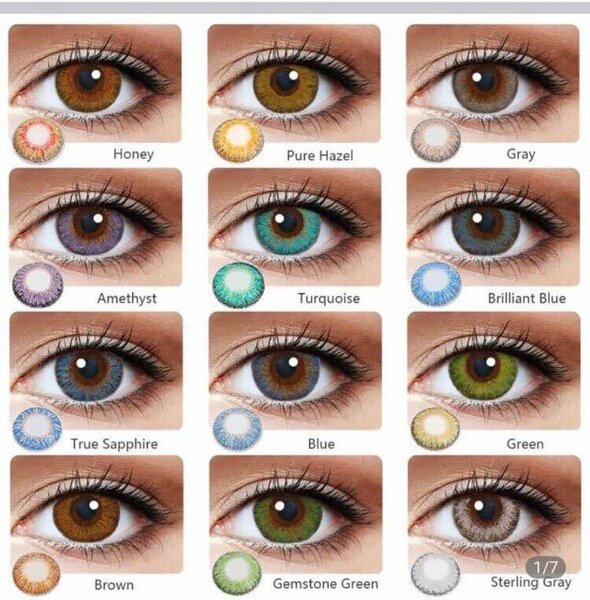 Lentilles