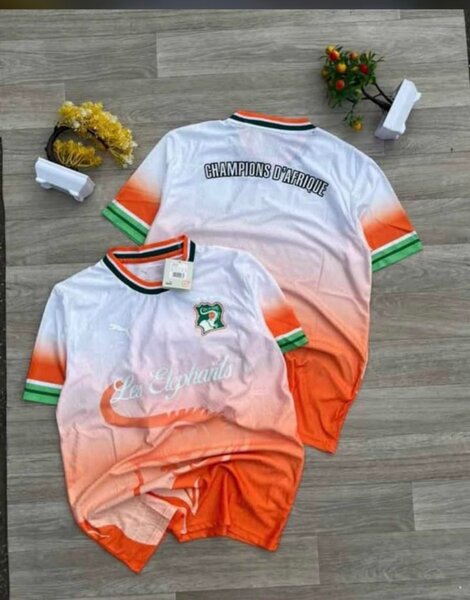 Maillot Côte d'Ivoire Puma