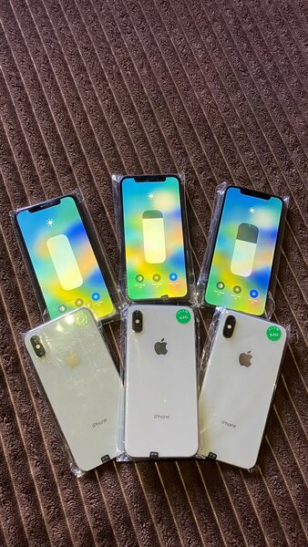 iPhone X