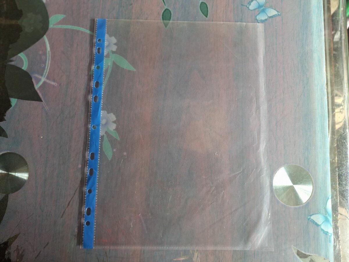 Pochettes perforées A4 transparentes