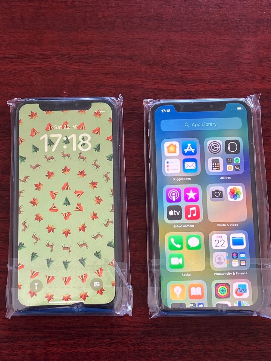 Fully functional iPhone x