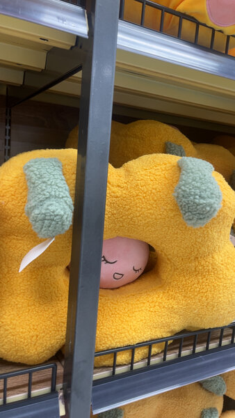 Coussin peluche fleur douce