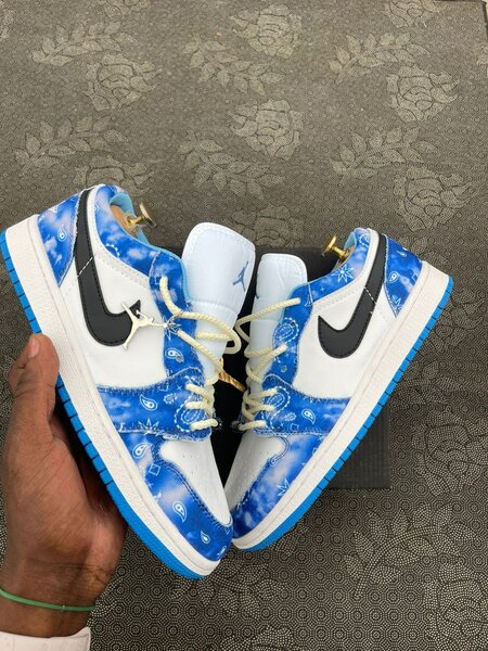Nike jordan SB