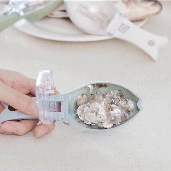 Écailleur à poisson