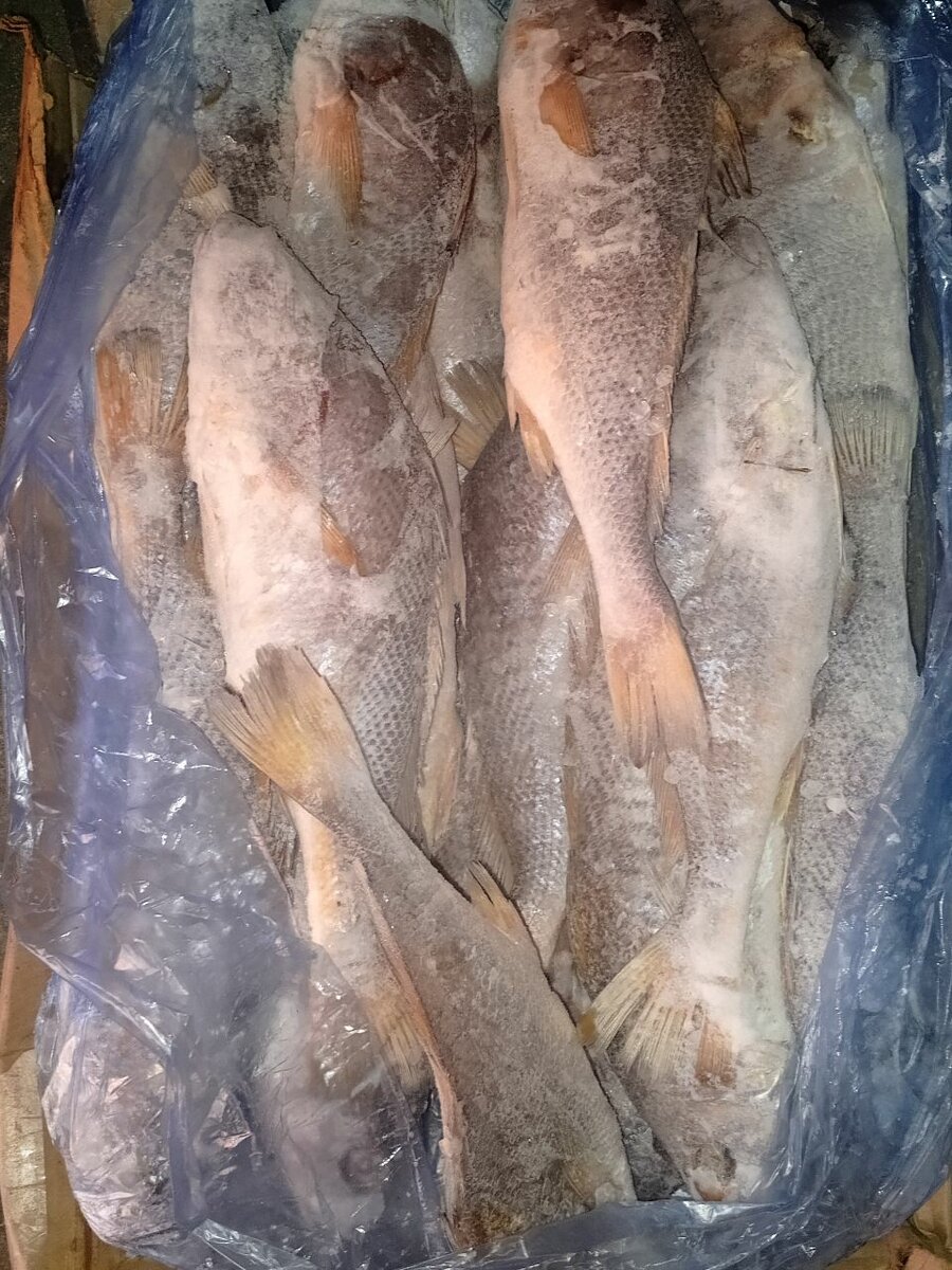 I have in store, chicken breast, chicken wings,etc etc