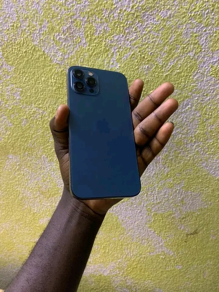 iPhone 12 Pro Max Bleu