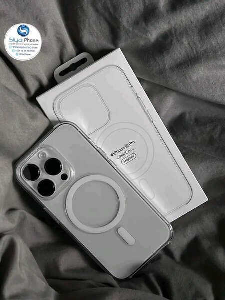 iPhone Pro Max en argent