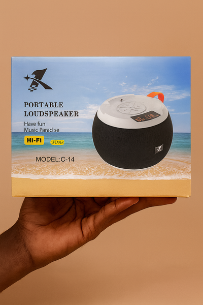 Enceinte Portable Hi-Fi C-14