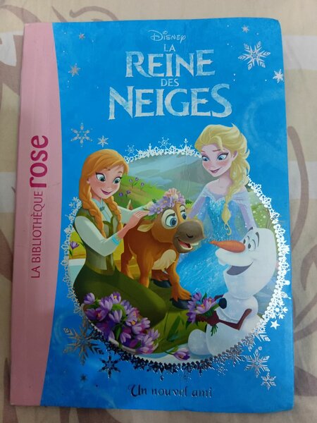 Livre pour enfants La Reine des Neiges