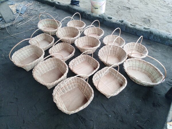 Chaises en rotin colorées