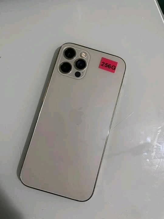 iPhone 12 Pro Max 256GB