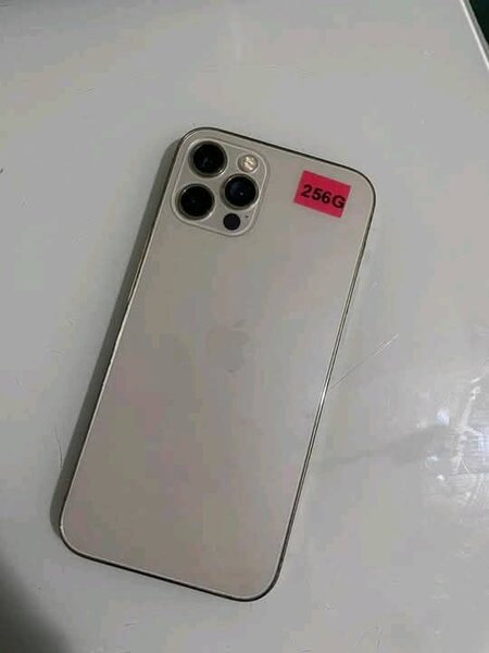 iPhone 12 Pro Max 256GB