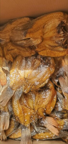 Siavonga kapenta,dry fish and