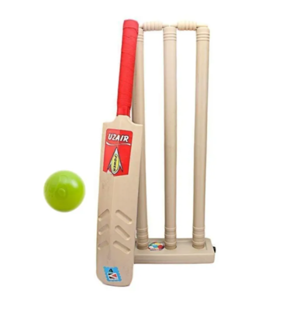Cricket Bat & Ball with Wicket Set For Kids
