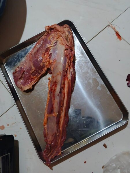 Filet de bœuf frais