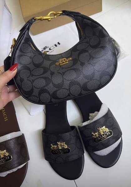 Sac à main Coach élégant