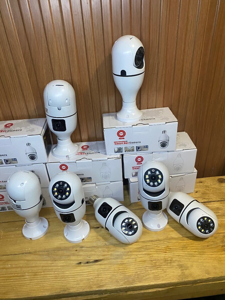 Caméra de surveillance 2en1