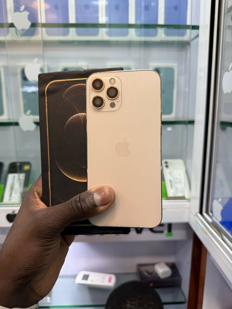 iPhone 12 Pro Max 128go quasi neuf avec son carton