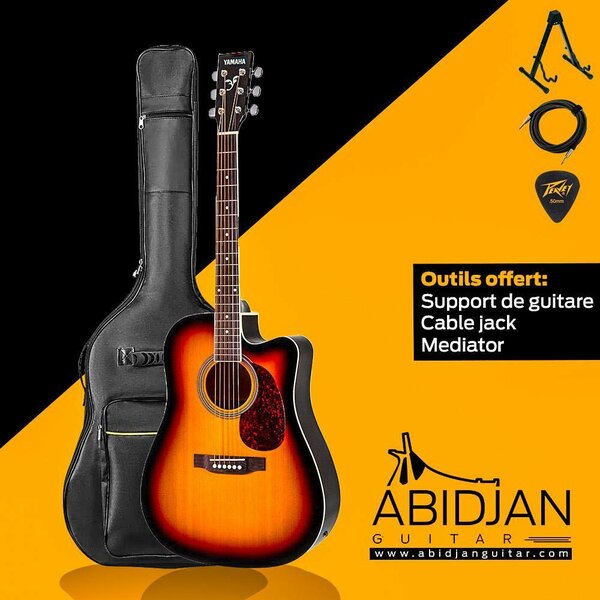 Guitare electro-acoustique