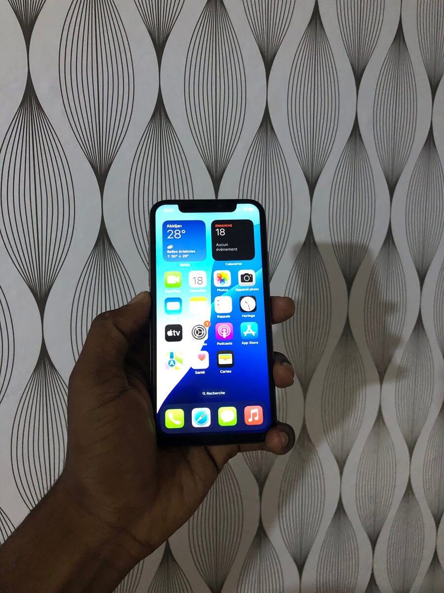 iPhone Xs tactile
