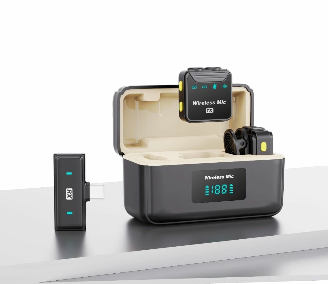 Double micro cravate professionnel