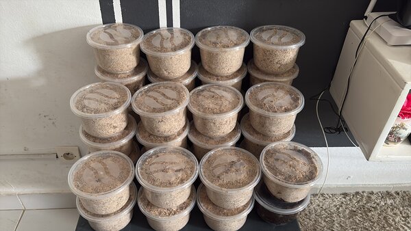 Pure Savon Noir artisanal