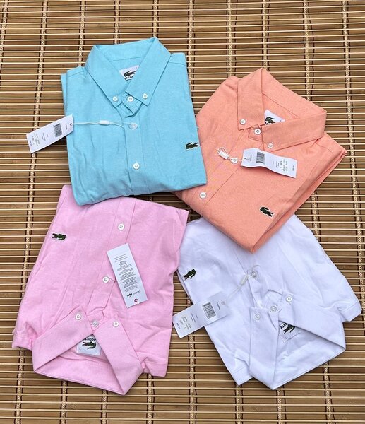 Chemises Classiques Homme