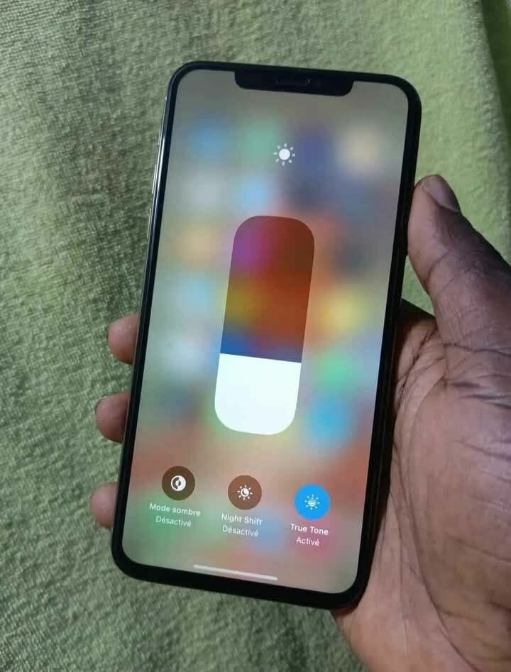 iPhone 12 Pro Max Argent