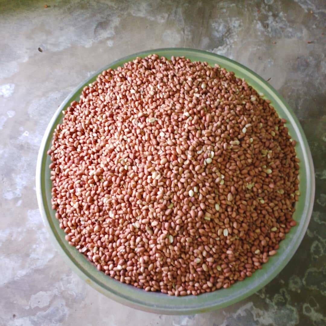 Arachides crues en vrac