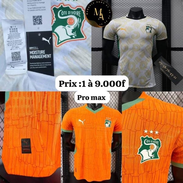 Maillot Côte d'Ivoire Puma