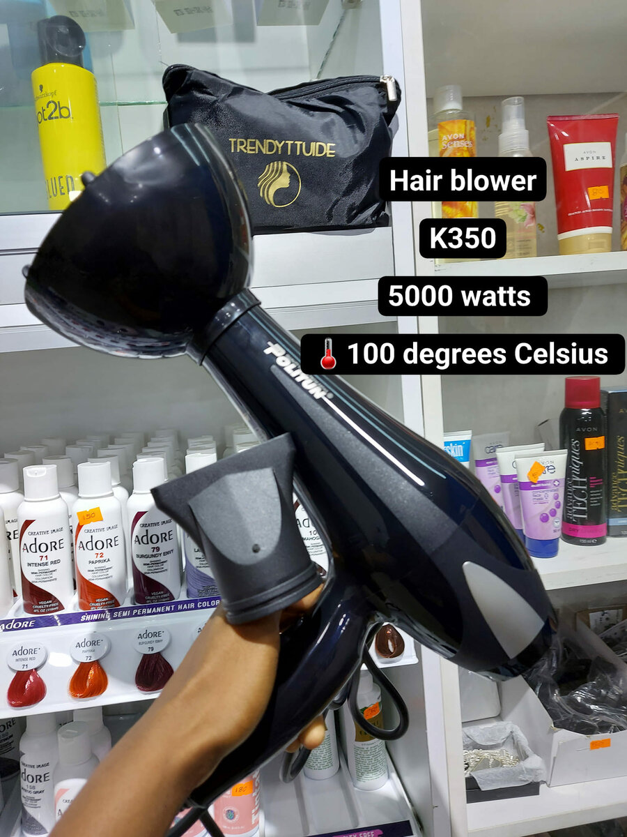 Hair blower