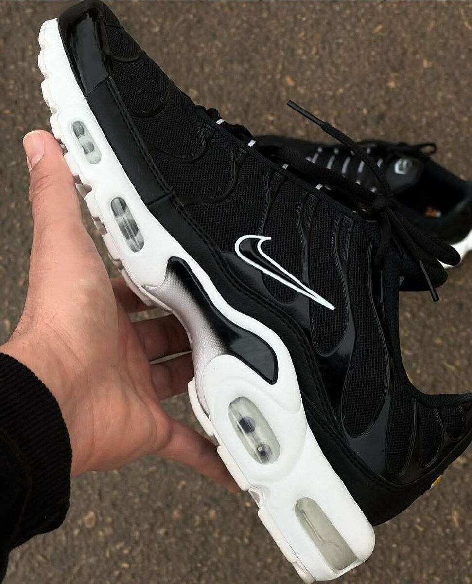 Nike Air Max Plus Noir