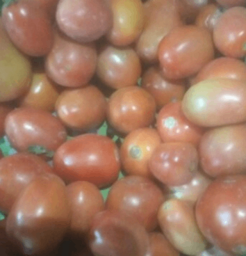 Tamato 1kg