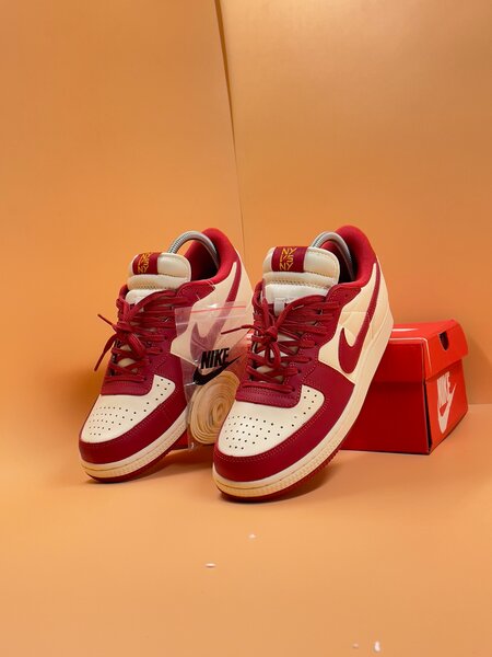 NIKE TEMINATOR