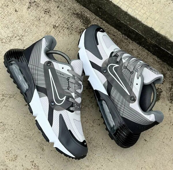 Chaussures Nike Air Max Hommes