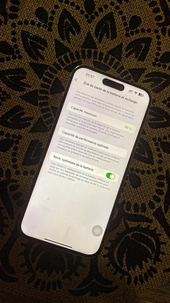 iPhone Pro Max Argent 256GB