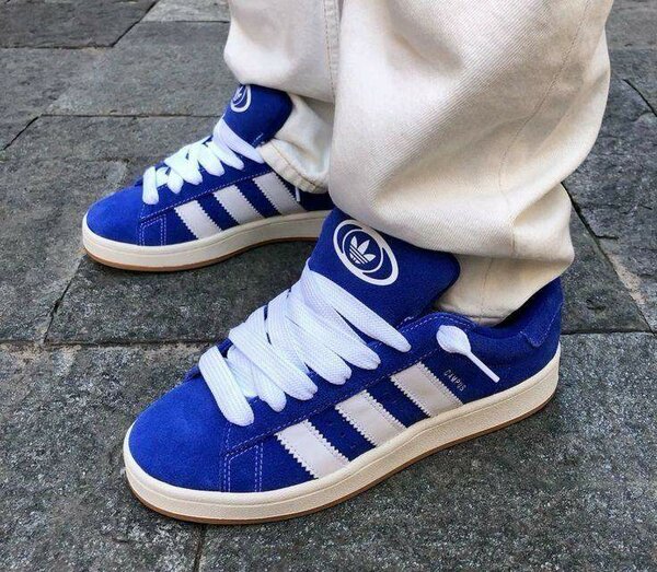 Adidas campus original