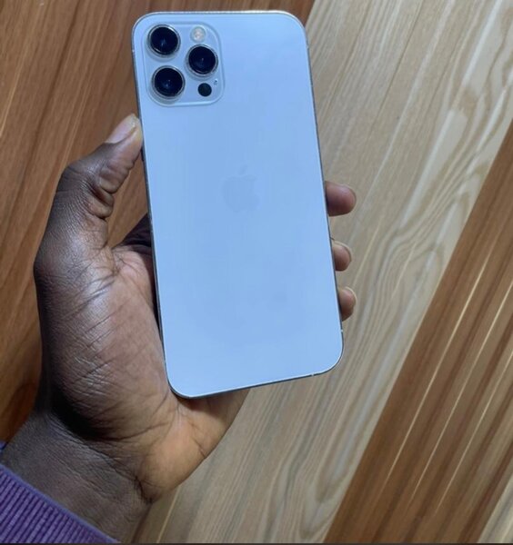 iPhone 12 pro max dual SIM 256