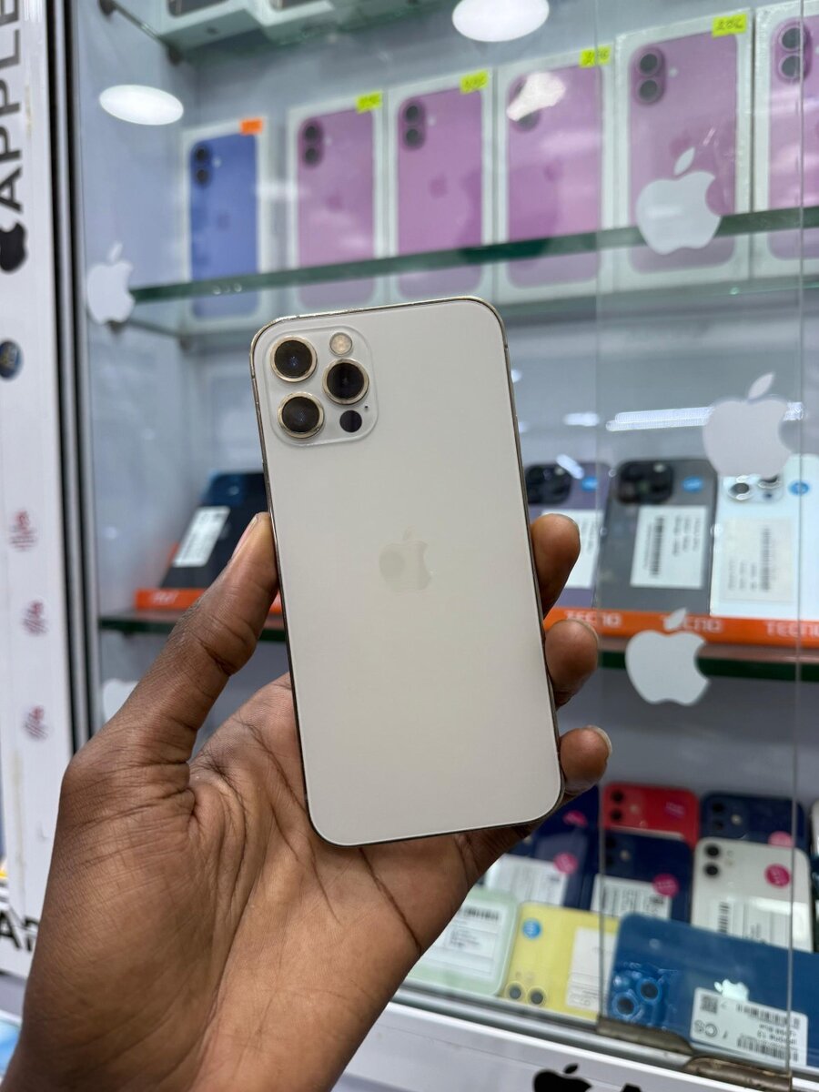 12 Pro 256go écran changer