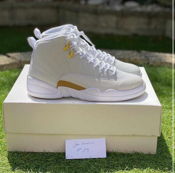 Air Jordan 12(white )