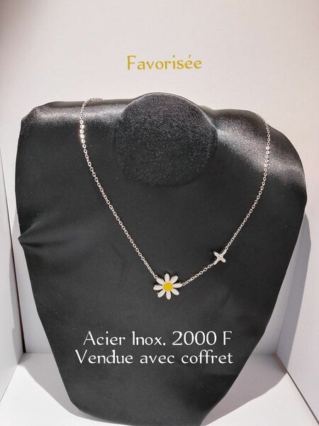 Collier en acier inoxydable