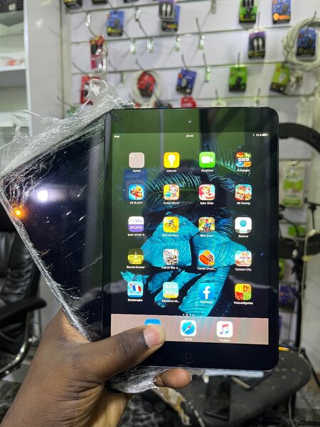 iPad mini 1
