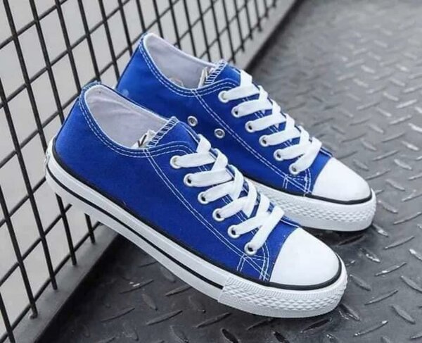 Baskets Unisex Classiques