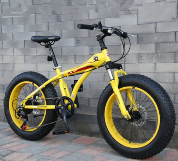Vélo Fat Bike tout terrain