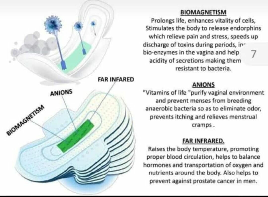 Anti-Bacteria Panty Liner - 30 Layers