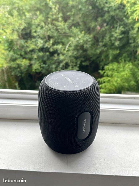 Haut-parleur Bluetooth ZEALOT
